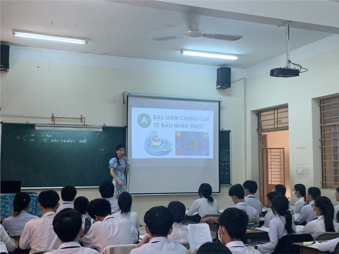 Ảnh đại diện